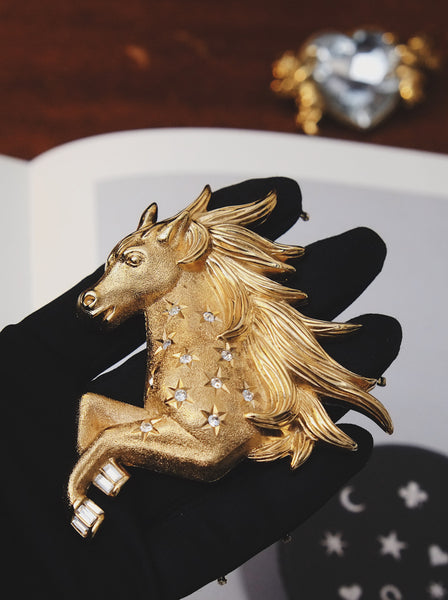 Chr Dior pegasus brooch (vintage)